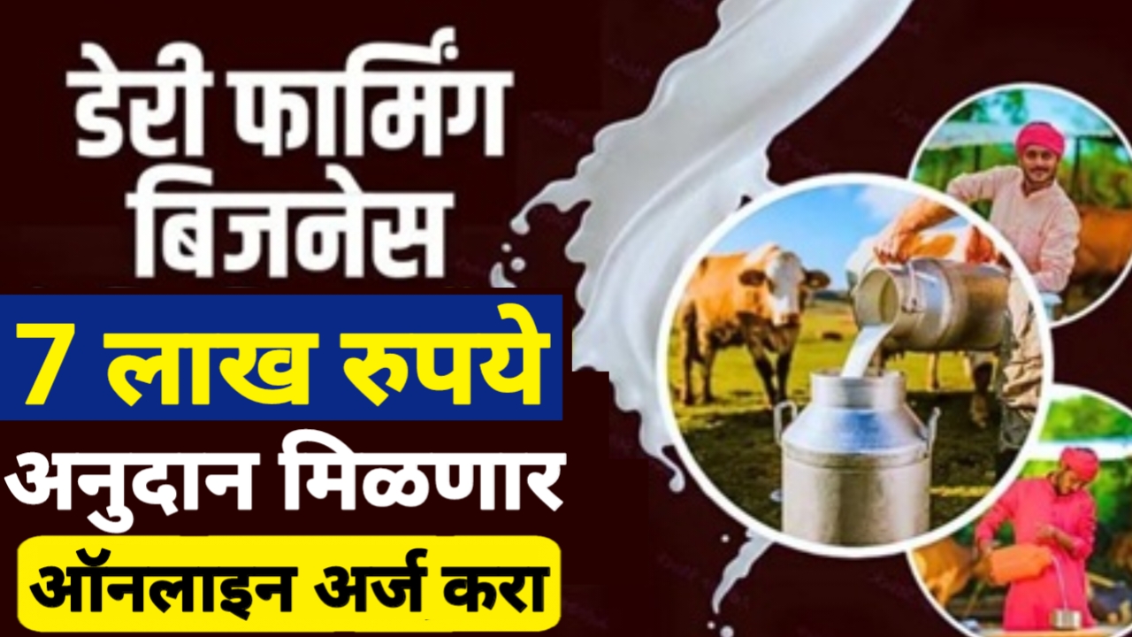 dairy farm loan scheme