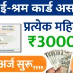 E Shram Card List
