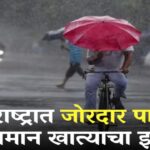 Maharashtra Weather Update