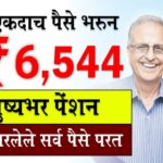 Senior citizens schemes