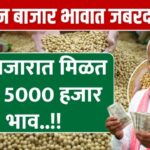 Soybean market