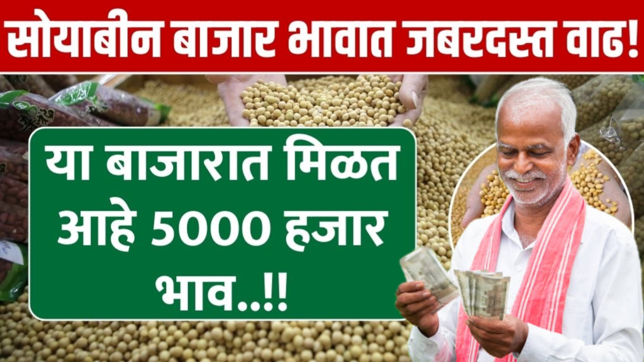 Soybean market