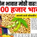 Soybean market