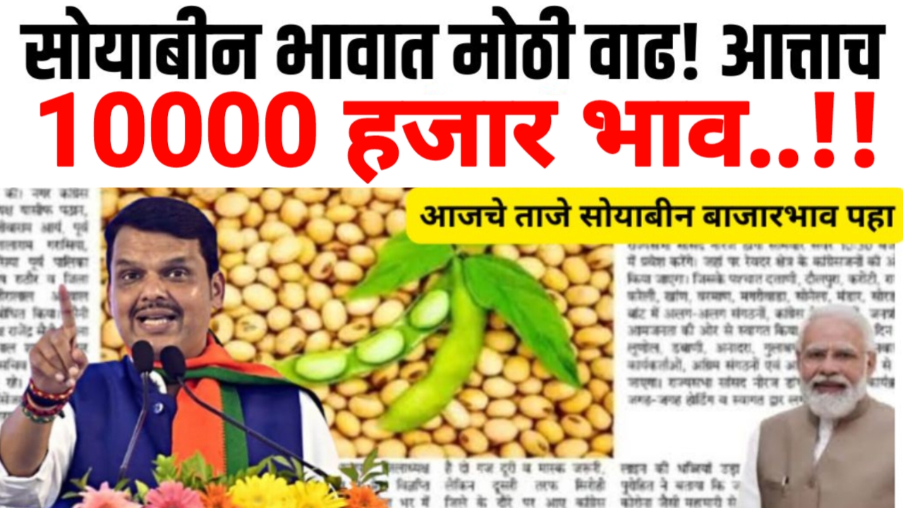 Soybean market